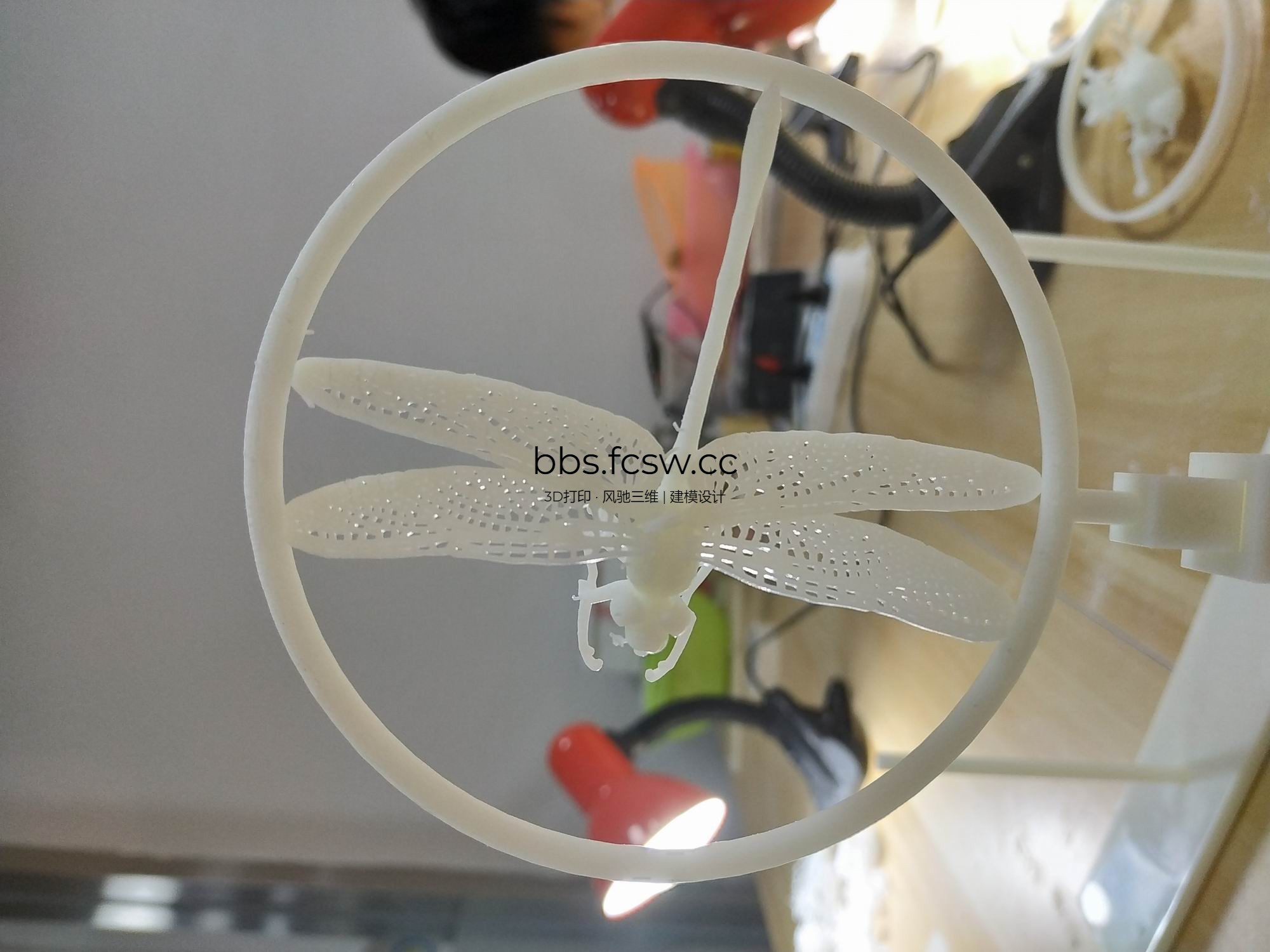 调整大小 IMG_20180803_082845.jpg