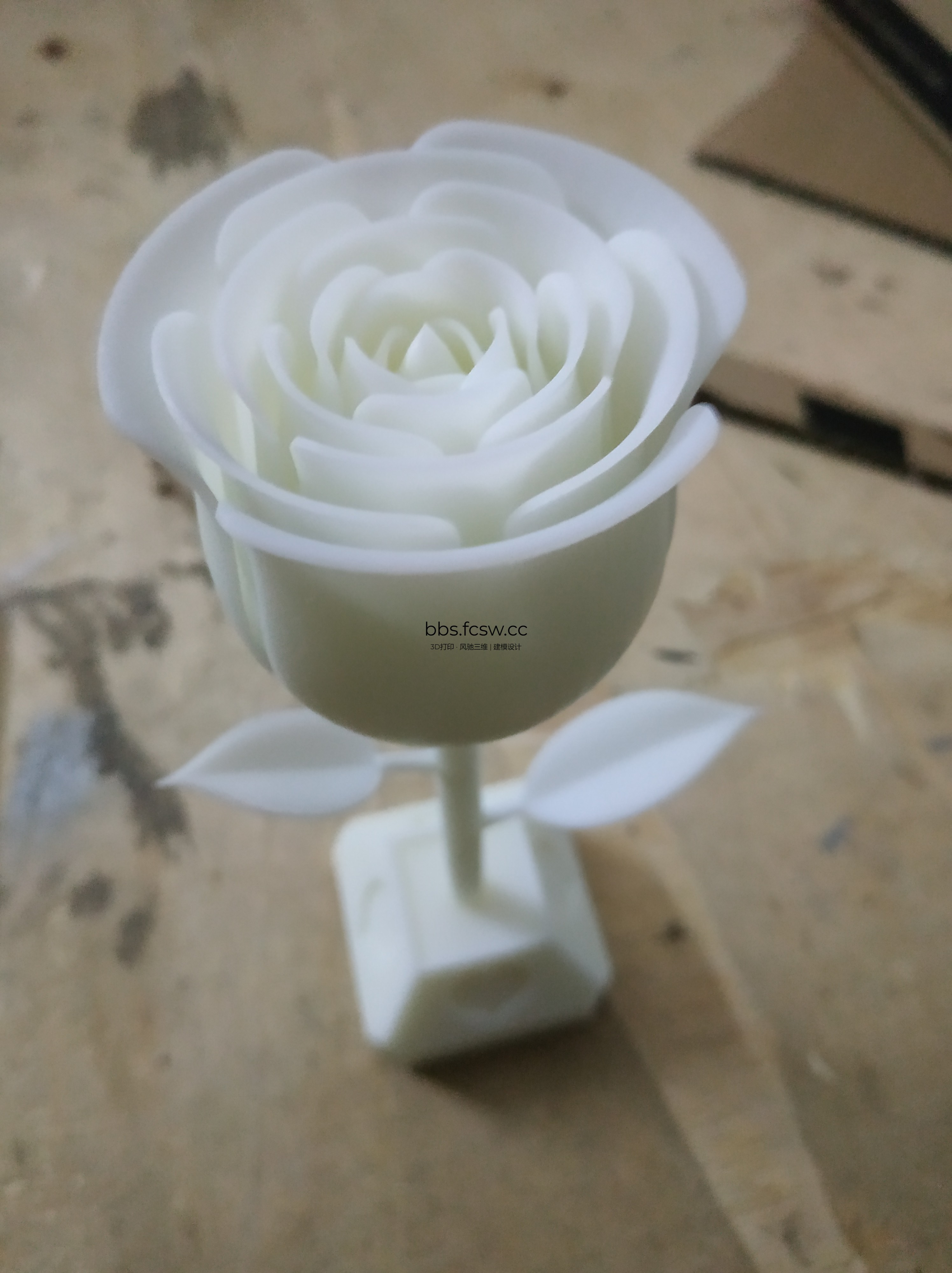 旋转 IMG_20190121_203640.jpg