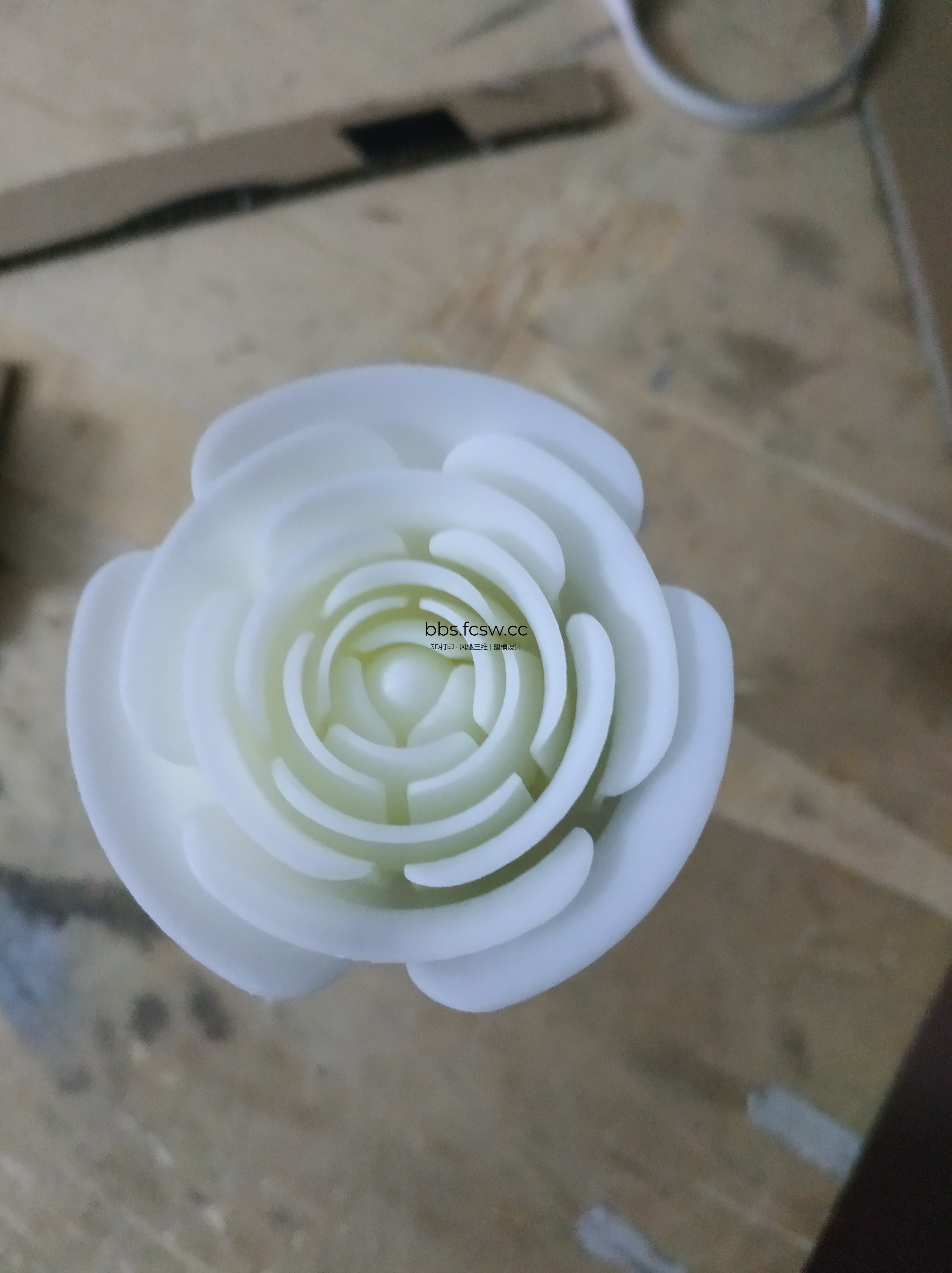 旋转 IMG_20190121_203703.jpg