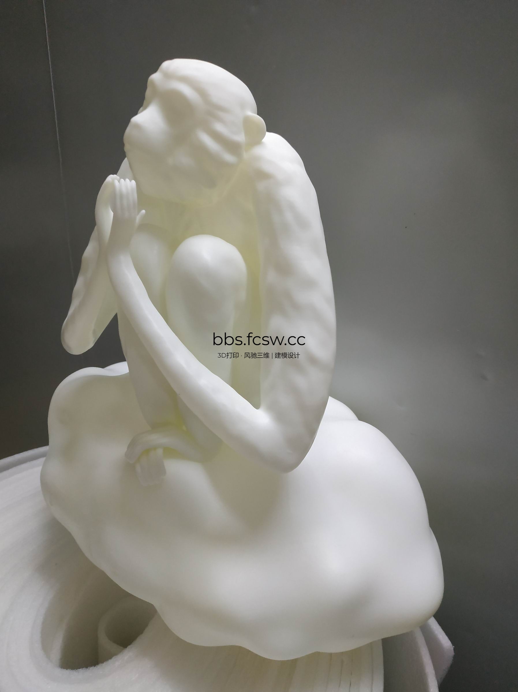 调整大小 旋转 IMG_20191111_212250.jpg