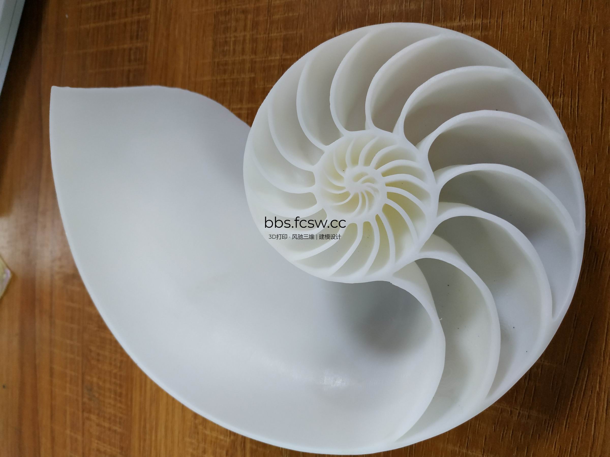 调整大小 IMG_20190307_144437.jpg