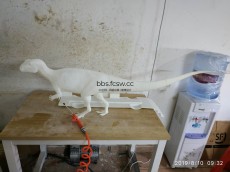 恐龙模型 动物模型 树脂模型