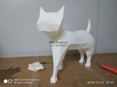 猫 动物模型 光敏树脂